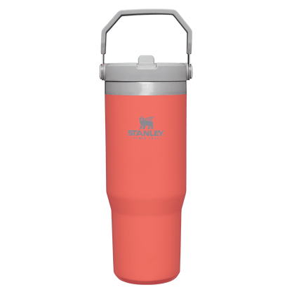 IceFlow™ Flip Straw Tumbler Pipetli Termos | 0.89L