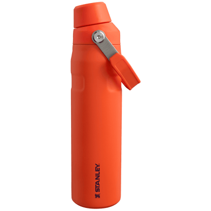 IceFlow™ Fast Flow Soğuk Su Termosu | 0.6L