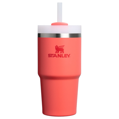 Quencher H2.O FlowState™ Tumbler Pipetli Termos | 0.6L